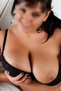 Very friendly horny independent escort Shiwaynesh Haarlem